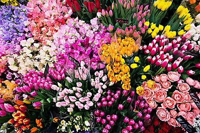 SE新手游《Emberstoria》正式公布 预注册开启