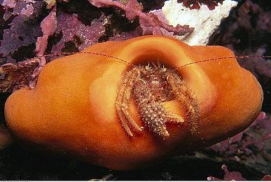 《堡垒之夜》举行马丁路德金活动 Epic禁用所有表情